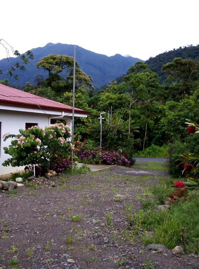 Cabinas El Pilon Rio Celeste Buitenkant foto