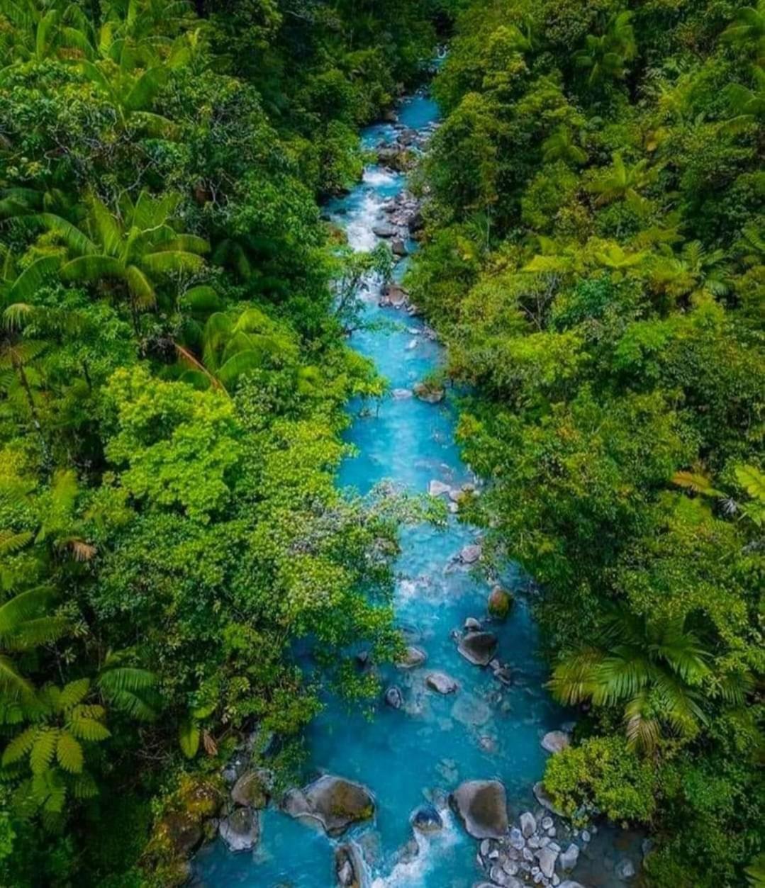 Cabinas El Pilon Rio Celeste Buitenkant foto